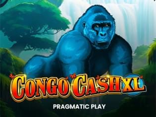 Congo Cash XL thumbnail